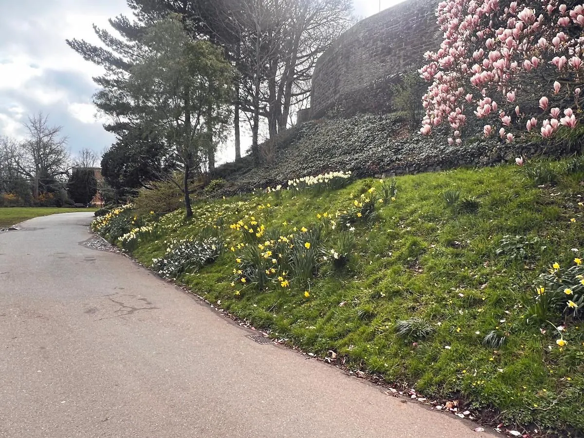 Perfectly Located City Centre Apartments Exeter